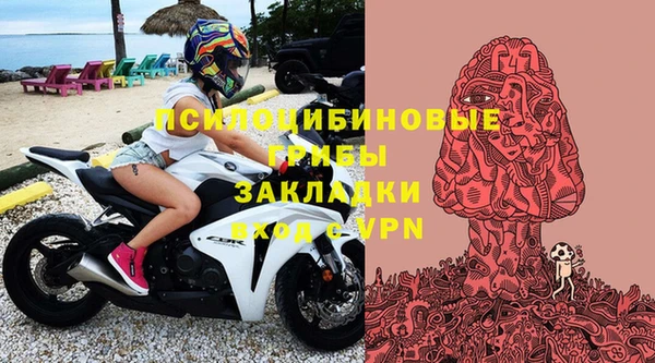 шишки Алексеевка